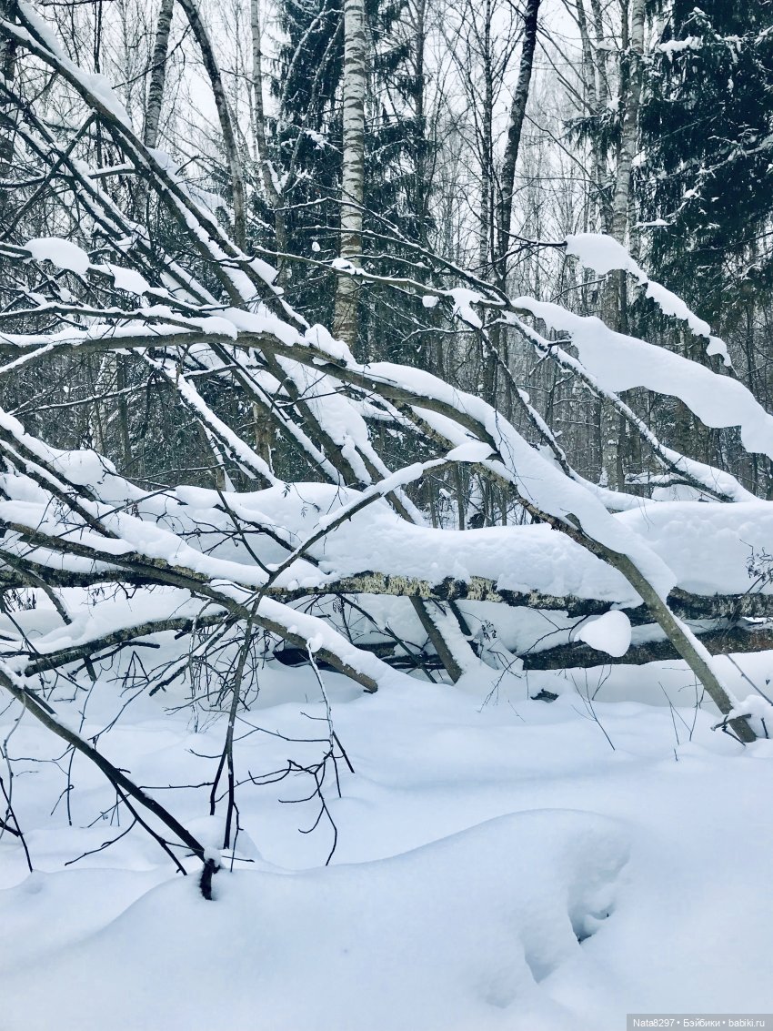 Прогулка по зимнему лесу с Хайке от Heidi Plusczok | Бэйбики Прогулка по зимнему лесу с Хайке от Heidi Plusczok