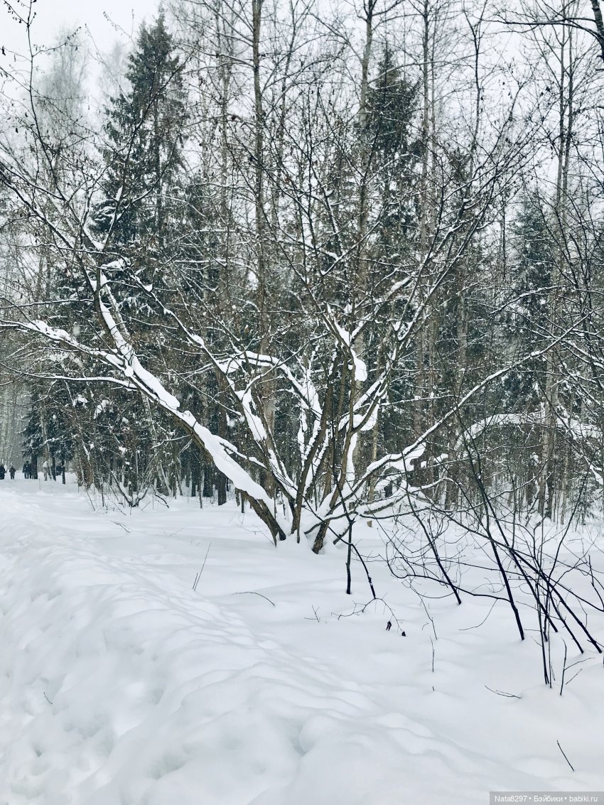 Прогулка по зимнему лесу с Хайке от Heidi Plusczok | Бэйбики Прогулка по зимнему лесу с Хайке от Heidi Plusczok (фото 7)