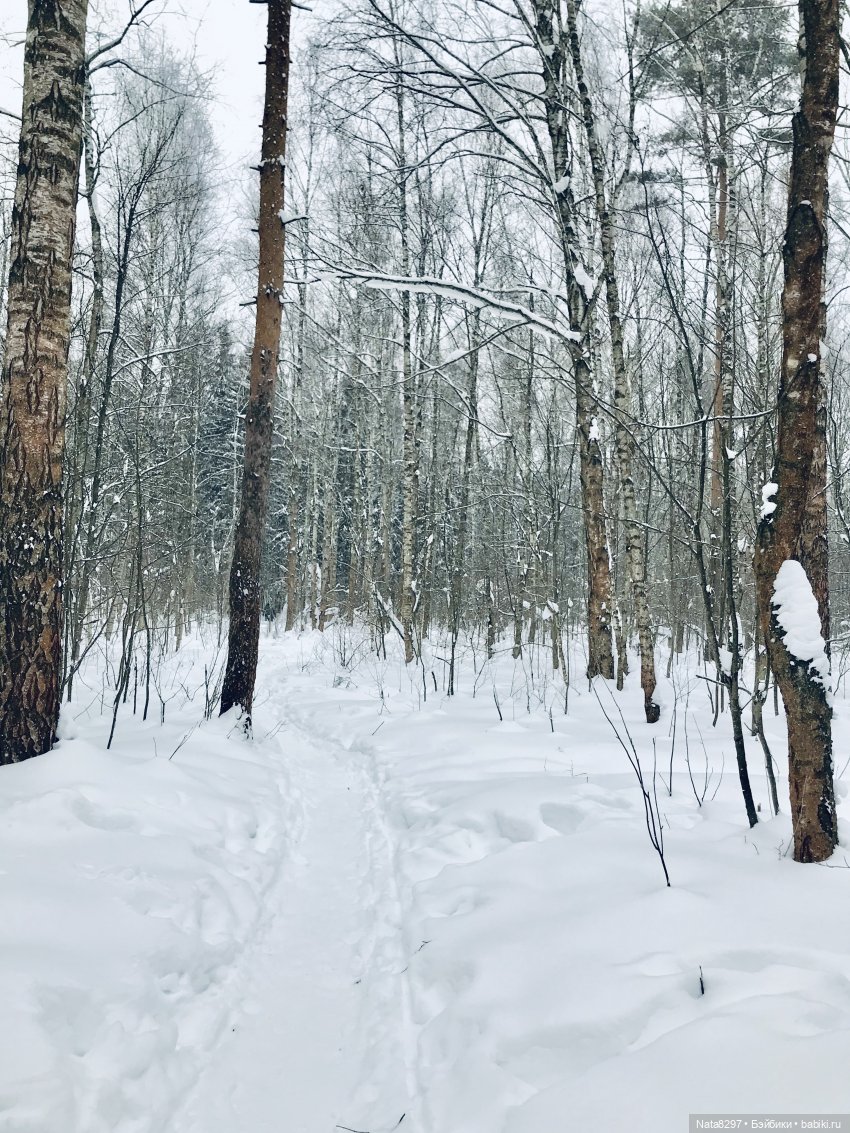 Прогулка по зимнему лесу с Хайке от Heidi Plusczok | Бэйбики Прогулка по зимнему лесу с Хайке от Heidi Plusczok