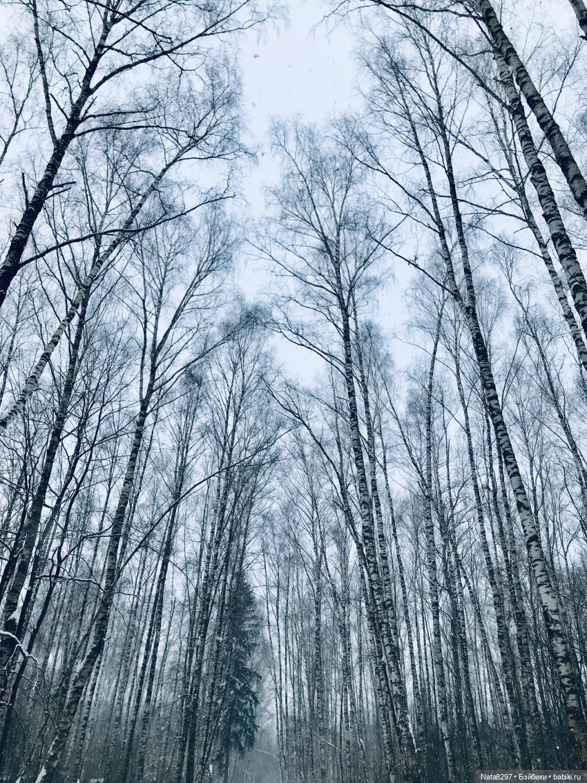 Прогулка по зимнему лесу с Хайке от Heidi Plusczok | Бэйбики Прогулка по зимнему лесу с Хайке от Heidi Plusczok (фото 6)