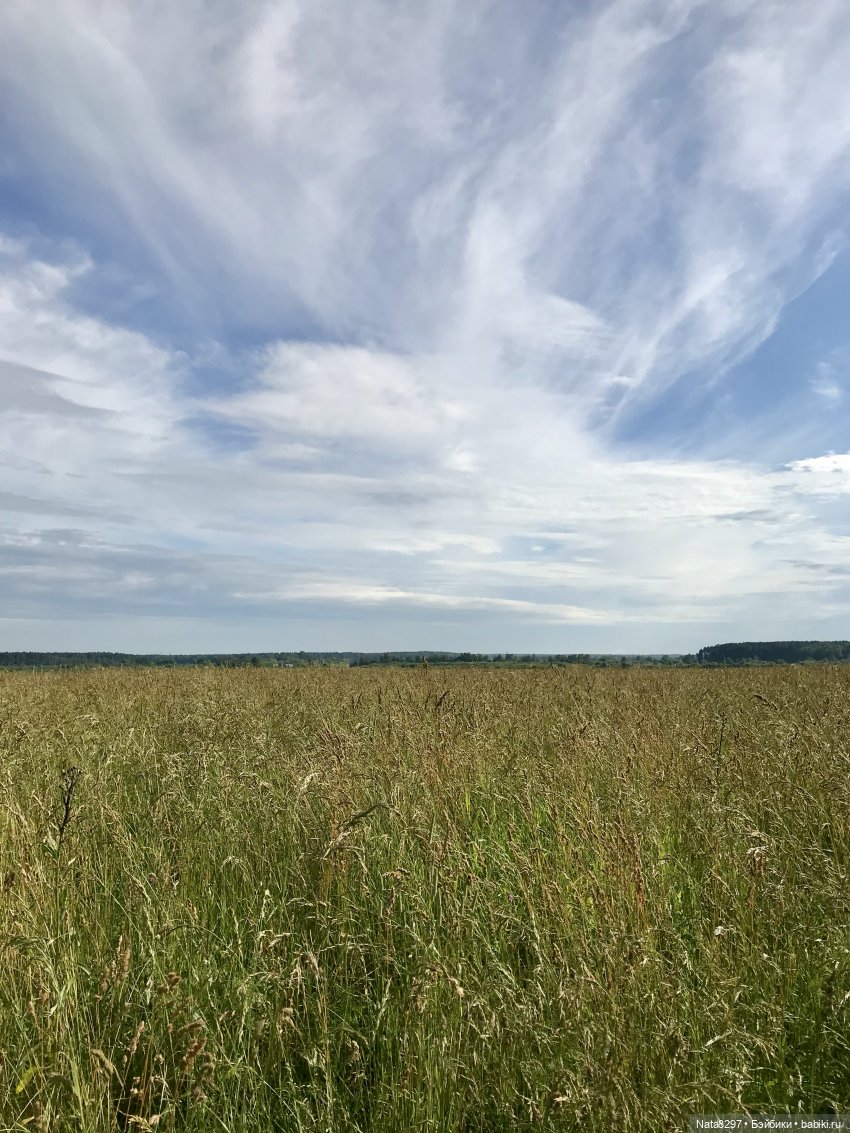 Плюшечки в цвету. Часть 2. Пеппи и Лизель от Heidi Plusczok