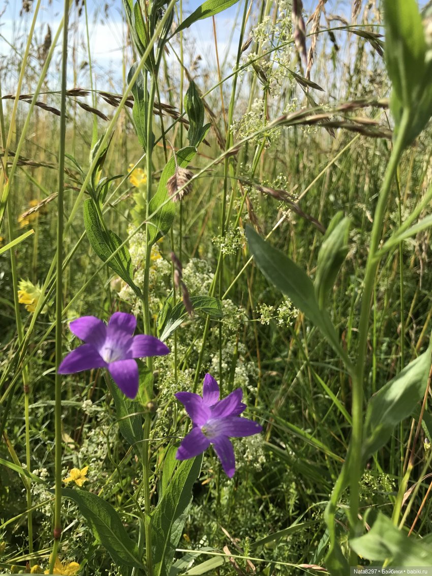 Плюшечки в цвету. Часть 2. Пеппи и Лизель от Heidi Plusczok