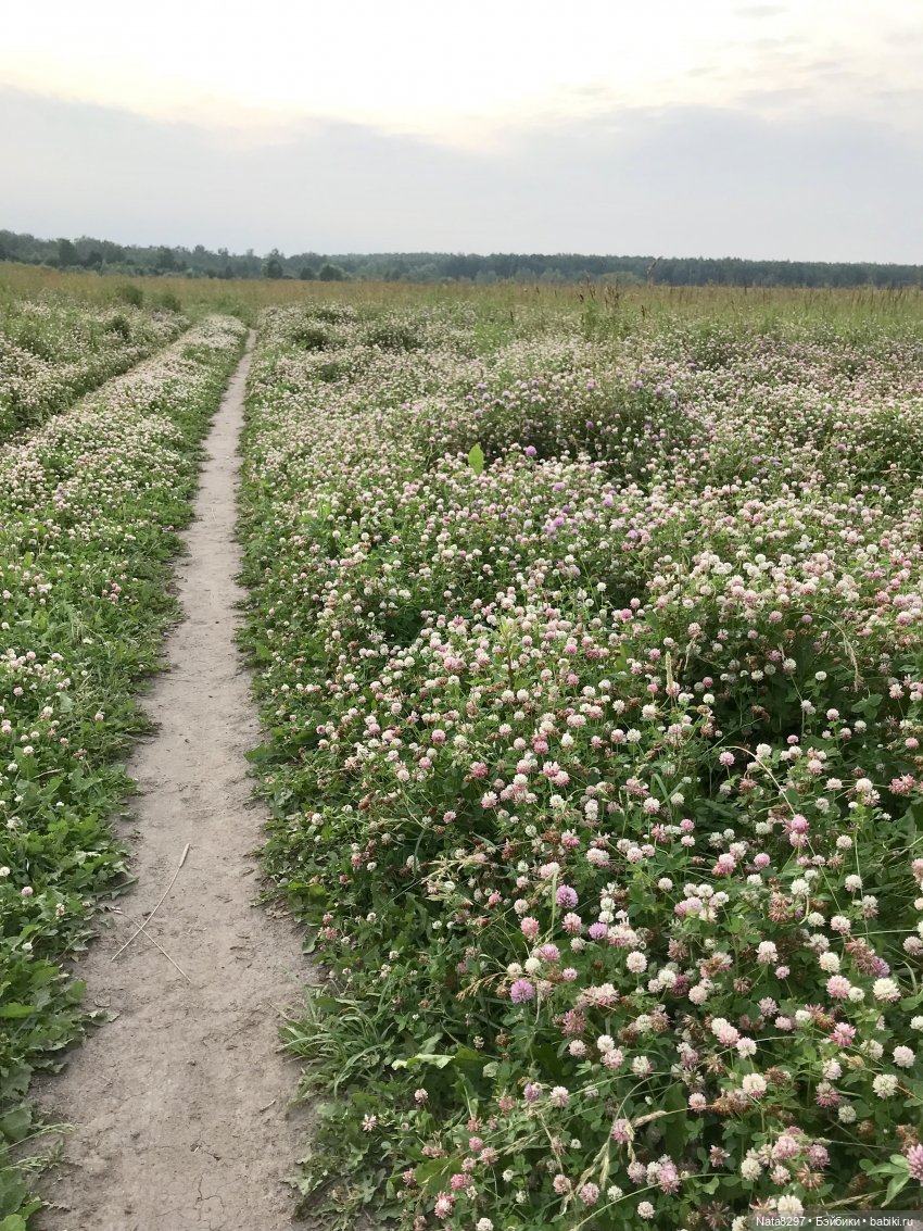 Плюшечки в цвету. Часть 3. Селин и Барбара от Heidi Plusczok