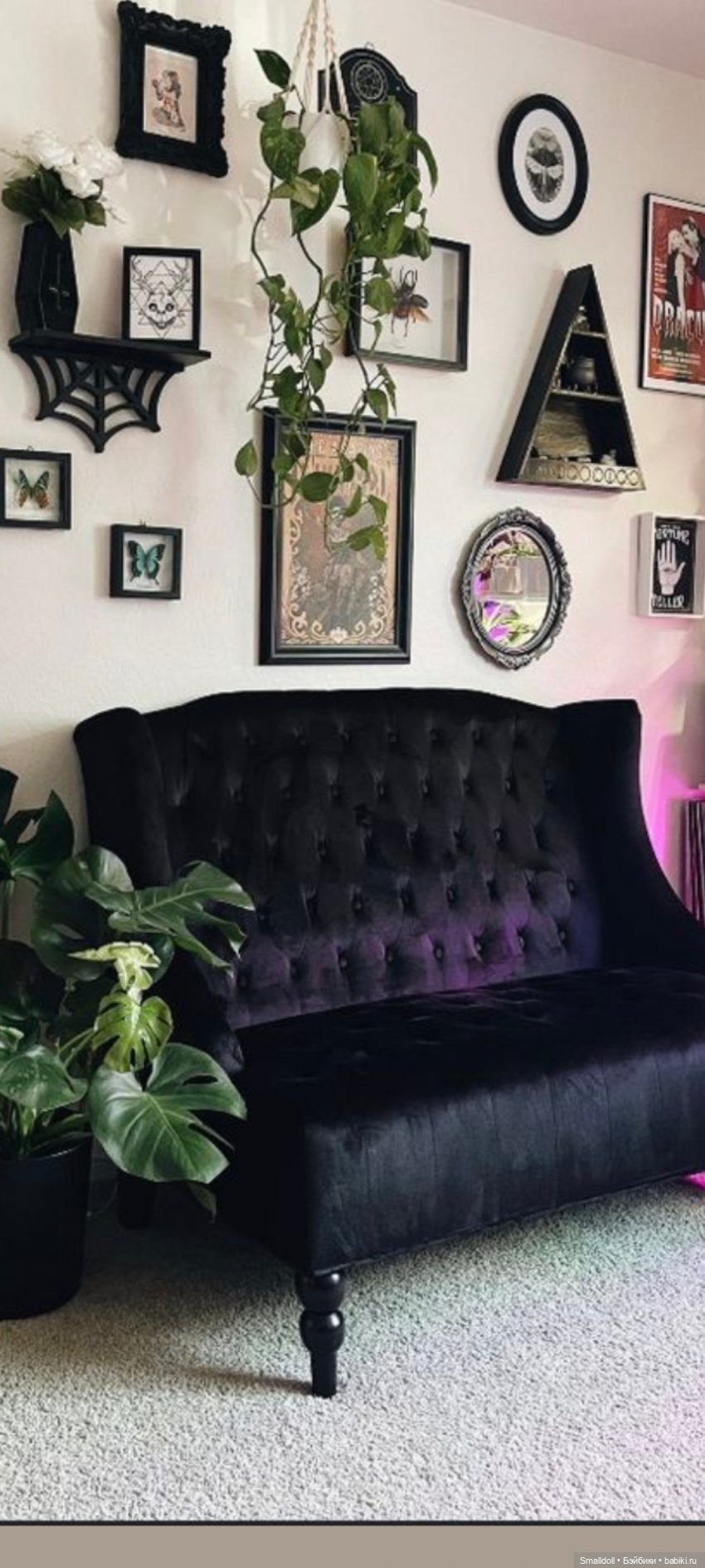 Ёжики кололись, плакали, но продолжали клеить диваны