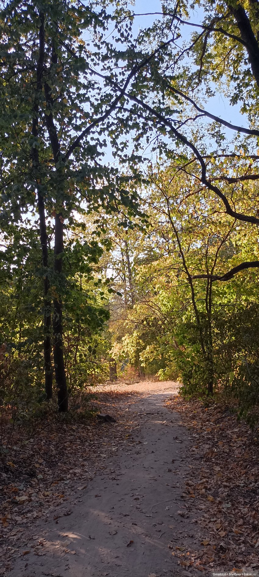 Прогулка с куклой — Куклы Integrity Toys (Интегрити): Poppy Parker (фото 10)