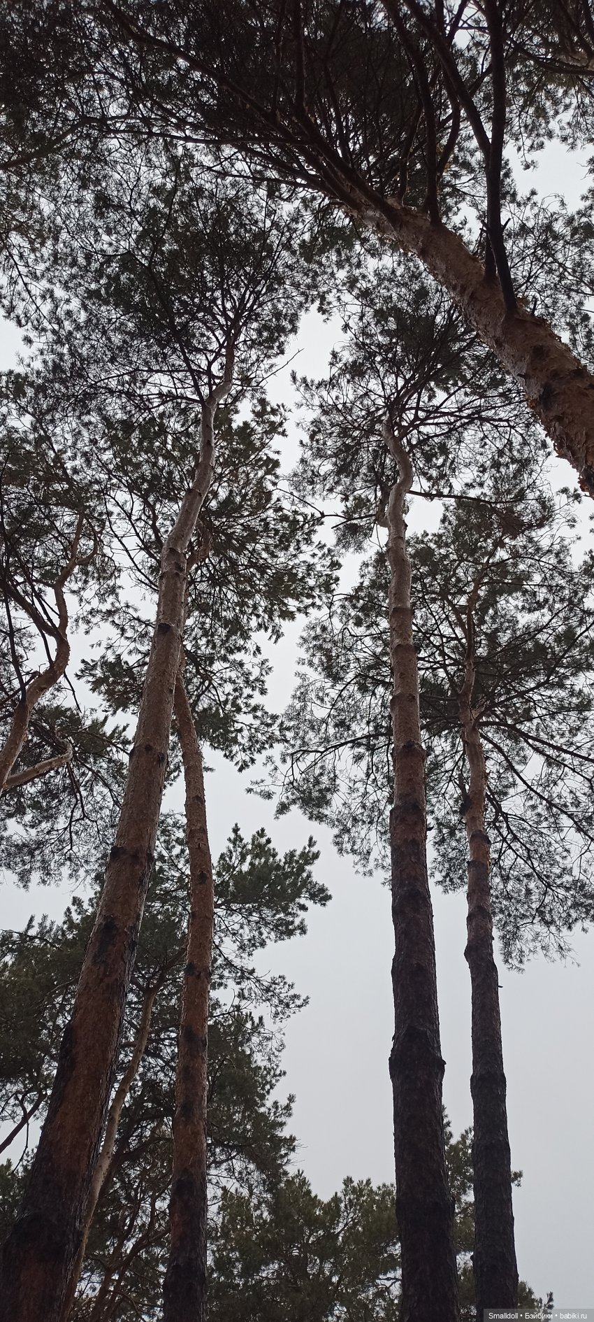 Шубка, глинтвейн и два ствола (фото 2)