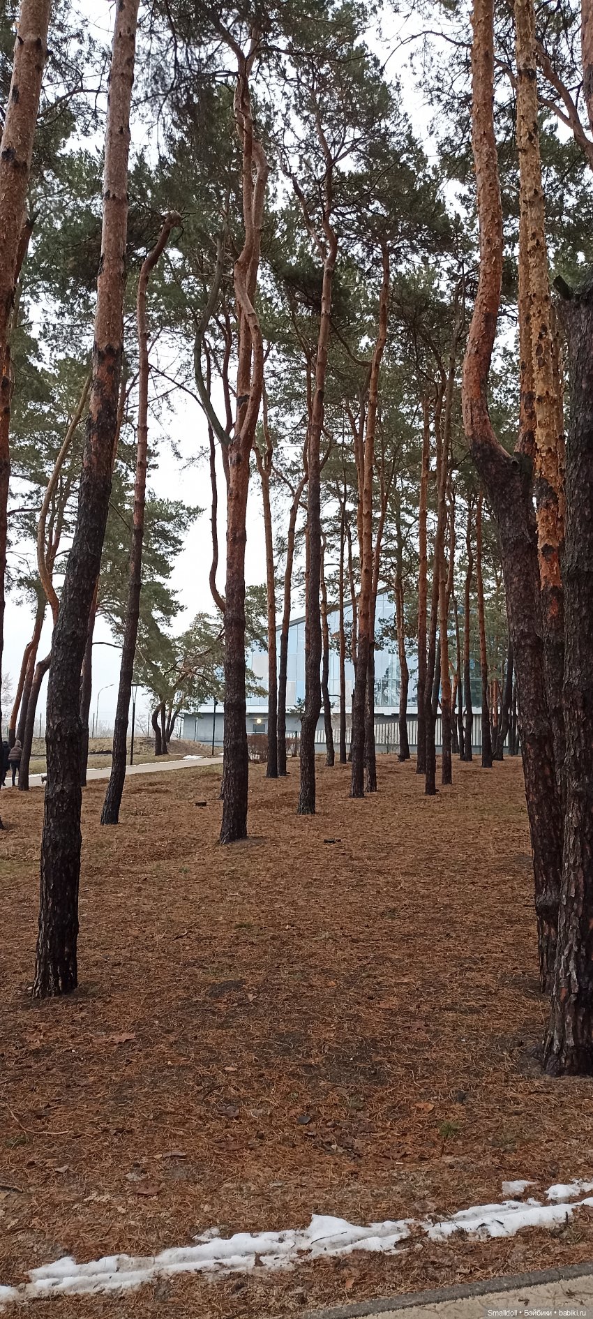 Шубка, глинтвейн и два ствола