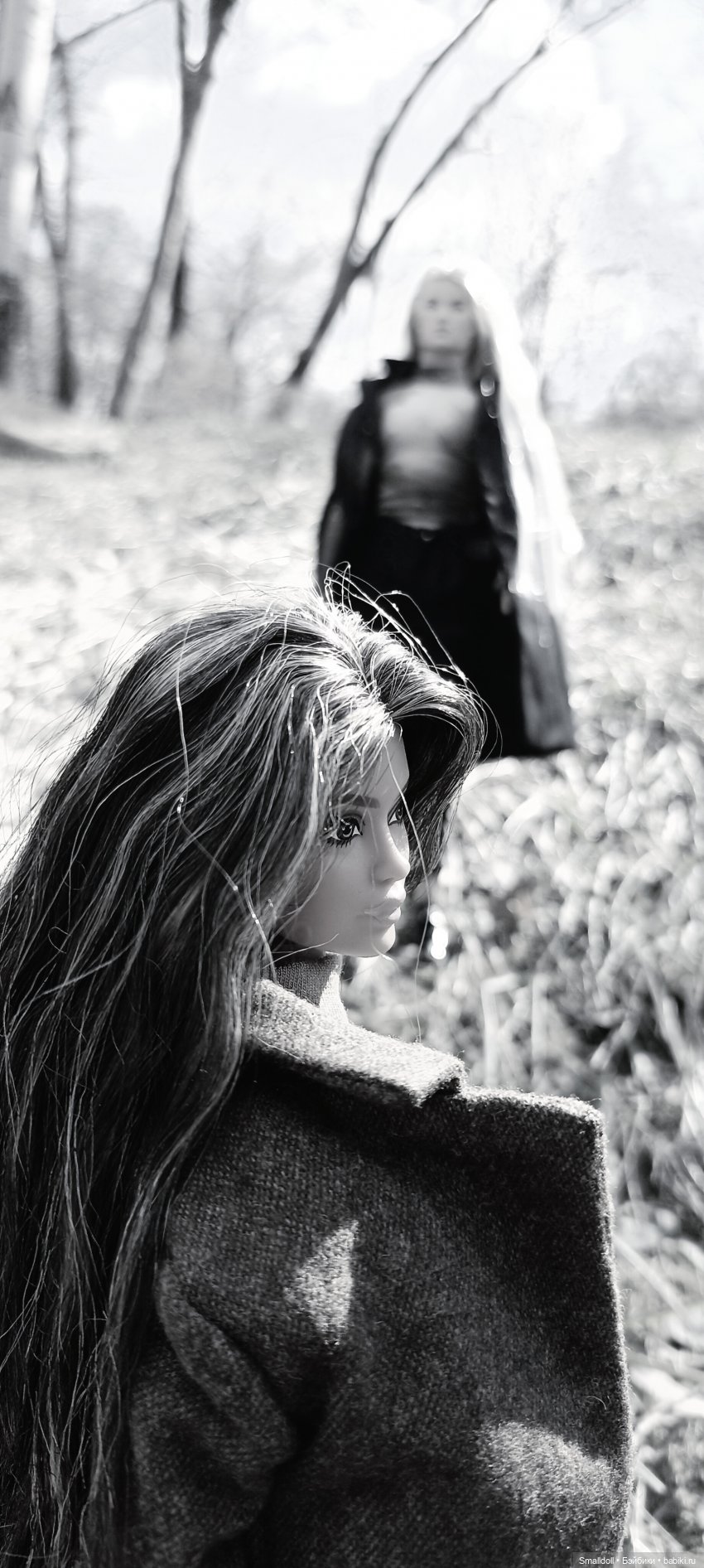 Безмолвный лес — Куклы Integrity Toys (Интегрити): Poppy Parker