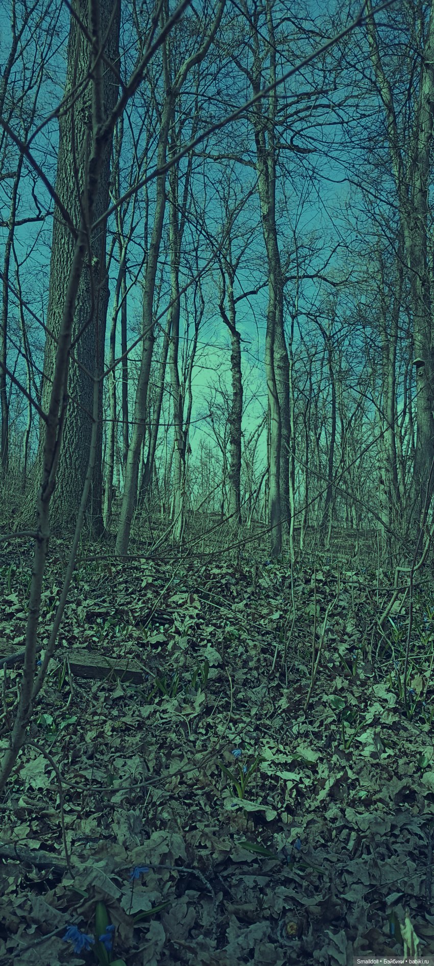 Безмолвный лес — Куклы Integrity Toys (Интегрити): Poppy Parker (фото 9)