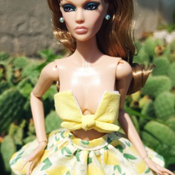 Малышка Синди и долина кактусов