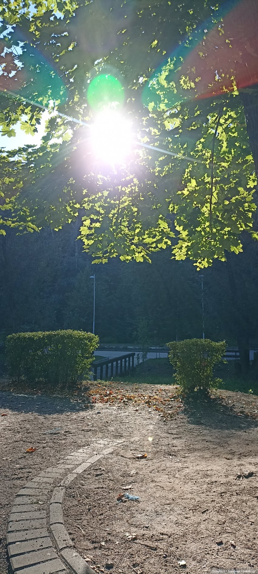 Выходной Бэби Голдсмит — Куклы Integrity Toys (Интегрити): Poppy Parker (фото 6)