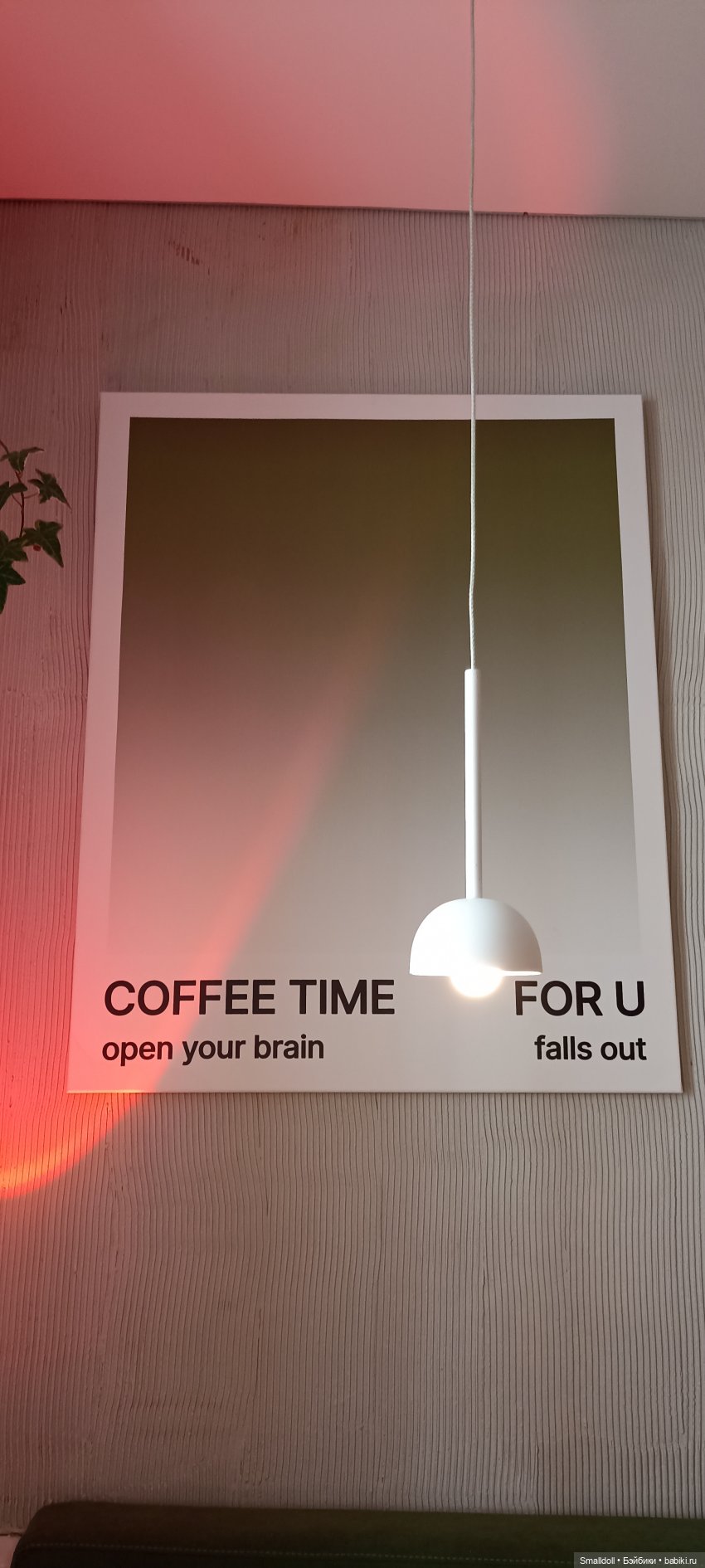 Кошка, которая гуляет сама по себе (фото 10)