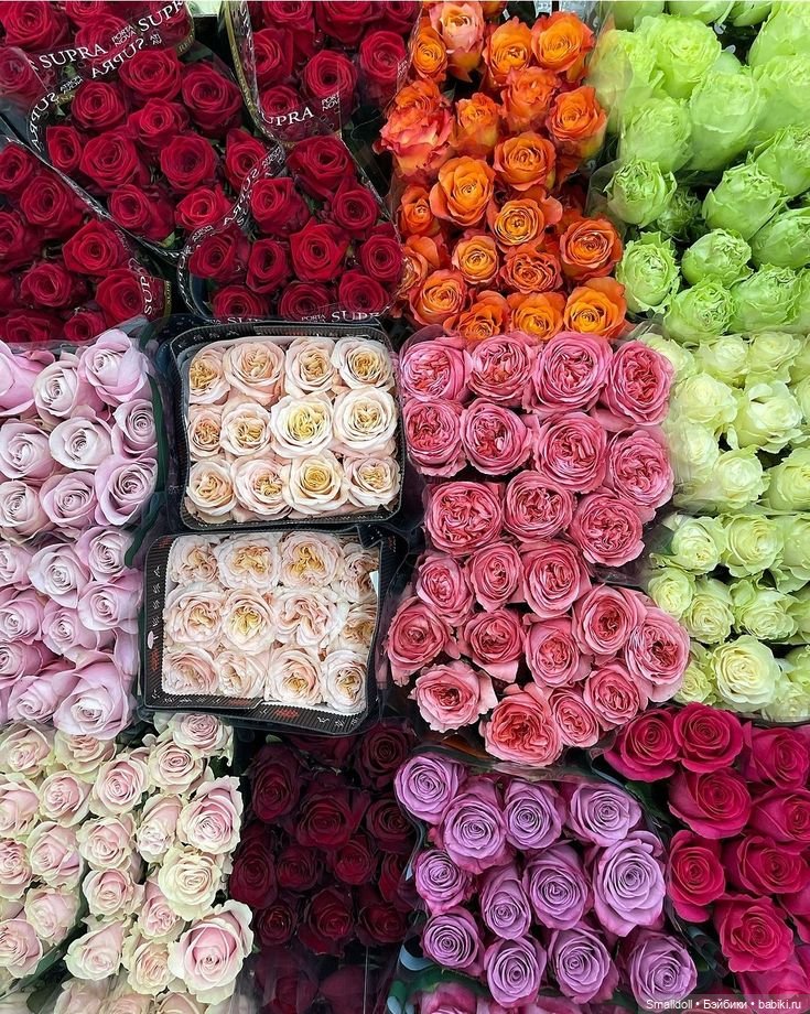 Настроение начинается с платья (фото 4)