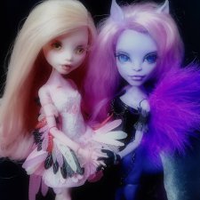 Крылатые дети заката