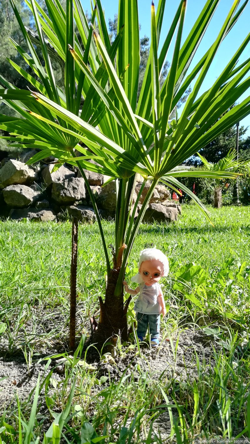 Baboliy - карманный друг — Куклы Baboliy (Баболи (фото 5)