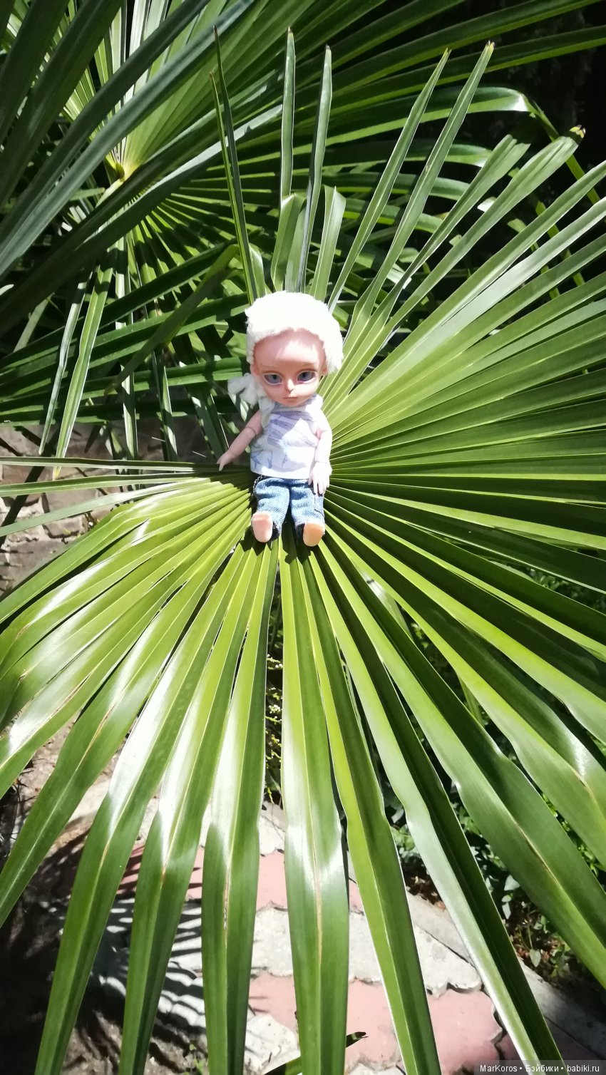 Baboliy - карманный друг — Куклы Baboliy (Баболи