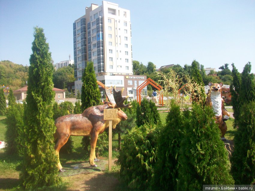 Как мы с кукляшками летом посещали цветочный фестиваль (фото 5)