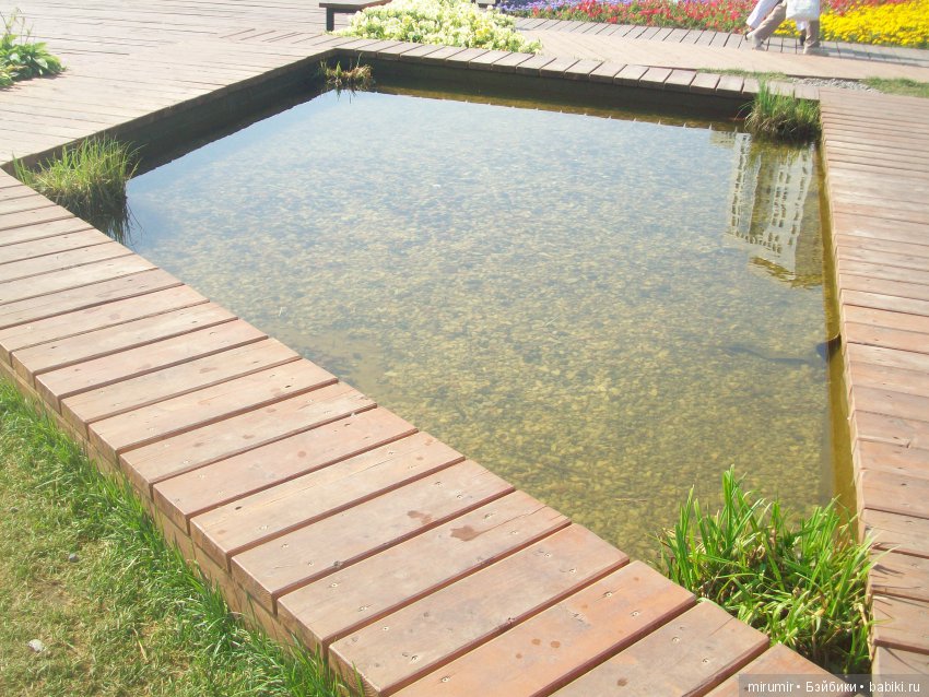 Как мы с кукляшками летом посещали цветочный фестиваль