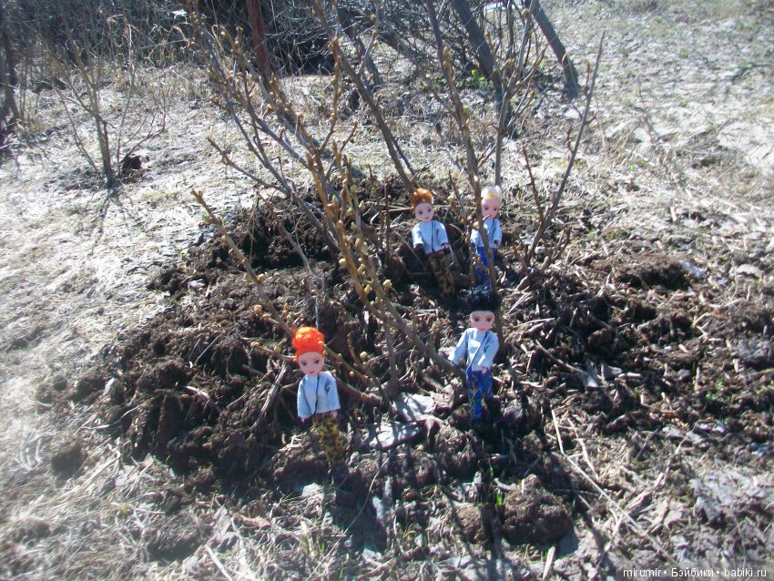 Вот такая сегодня в Казани погода (фото 4)