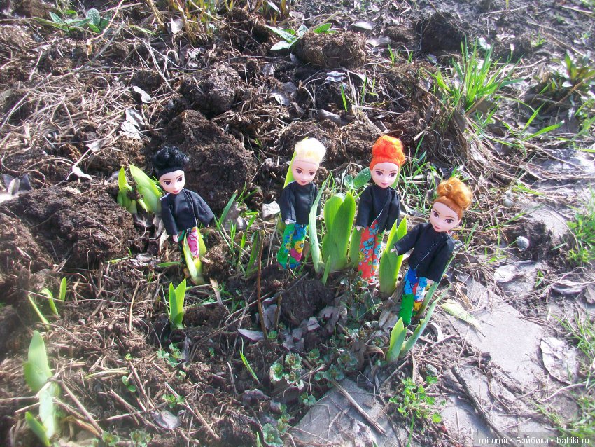 У нас на даче поселились скворцы (фото 4)