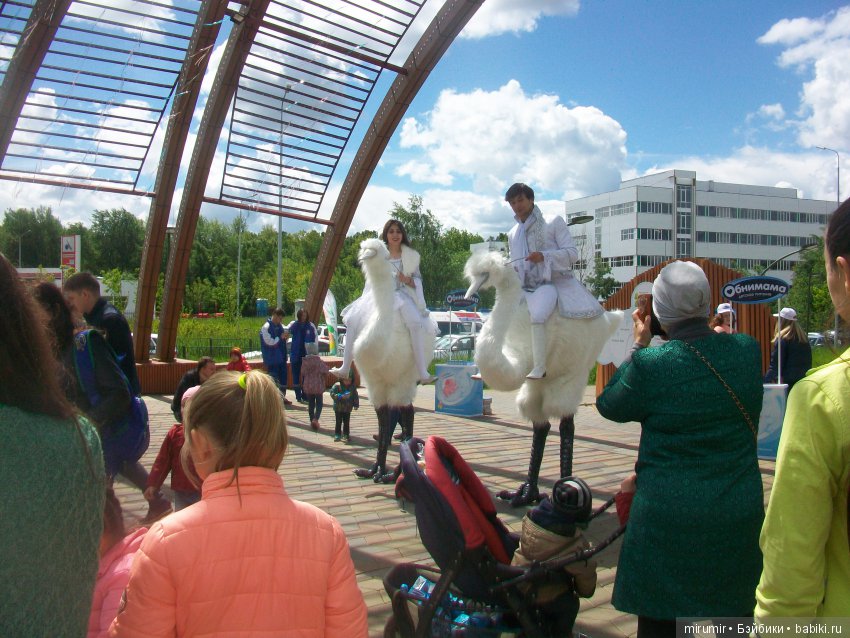 Молочный фестиваль — Другие мини