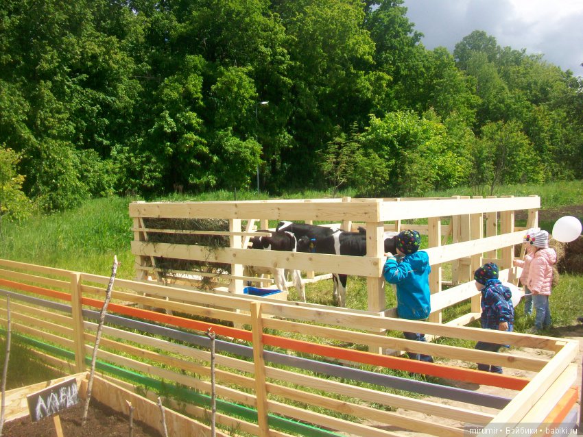 Молочный фестиваль — Другие мини