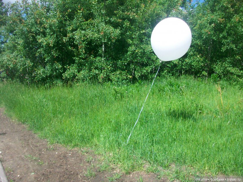 Молочный фестиваль — Другие мини (фото 5)