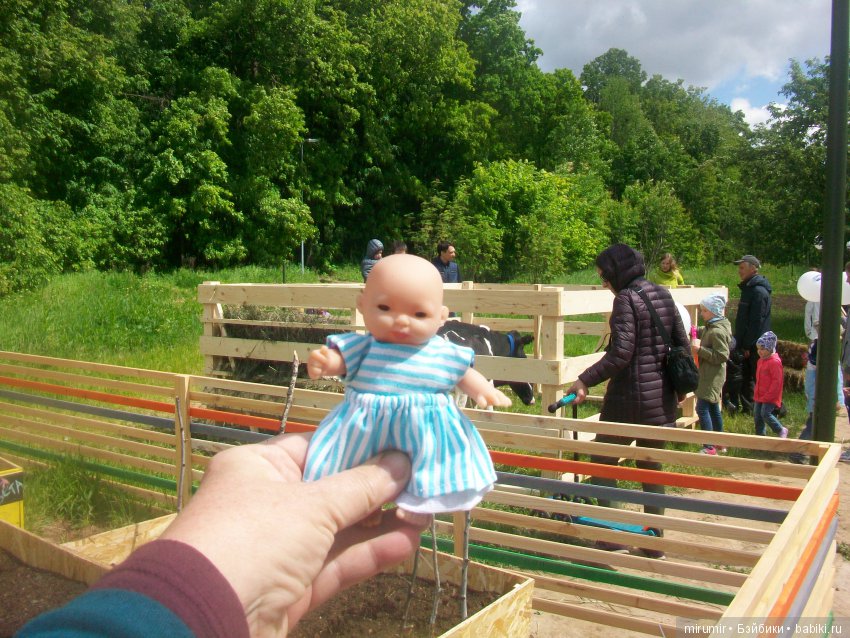 Молочный фестиваль — Другие мини