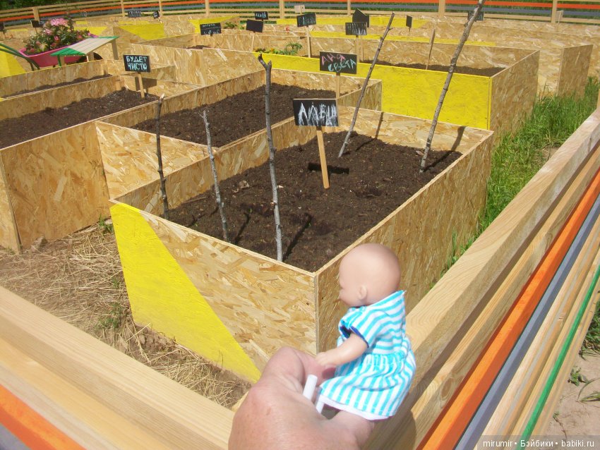 Молочный фестиваль — Другие мини