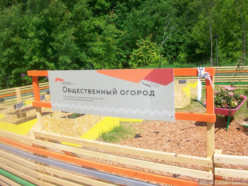 Молочный фестиваль — Другие мини