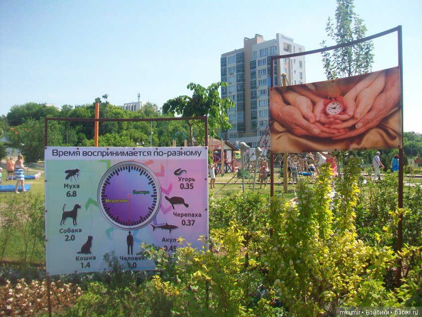 Цветочный фестиваль в Казани - 2018. Часть 1