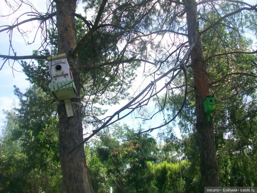 Прогулка с кукляшками — Другие мини