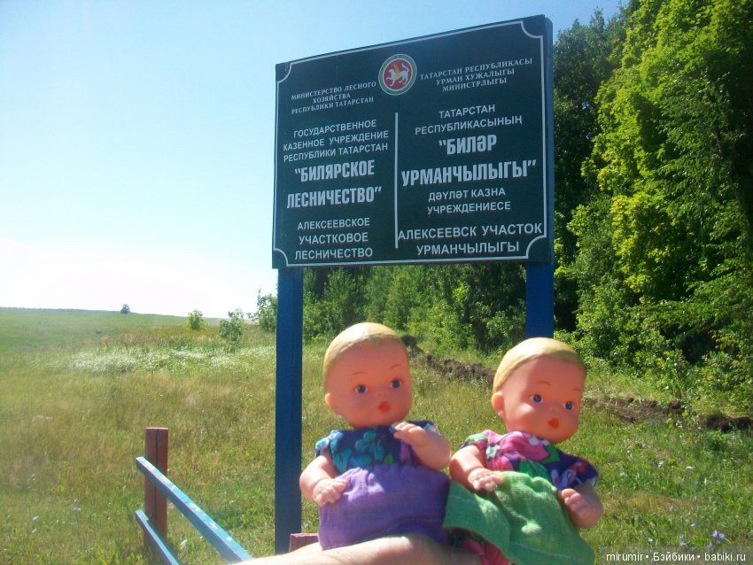 Экскурсия в Великий Булгар. Часть 1 (фото 2)