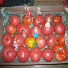 Лето! Ах, лето… Но оно, к сожалению, закончилось