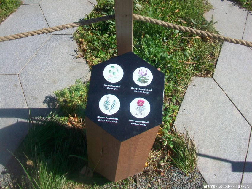 Поездка с кукляшками в Москву. Часть 1