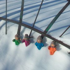 Как мои пупсики изучали природу