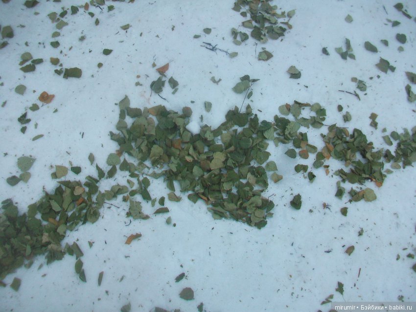 Как мы отмечали Масленицу