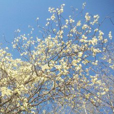 С праздником! С Пасхой!!!