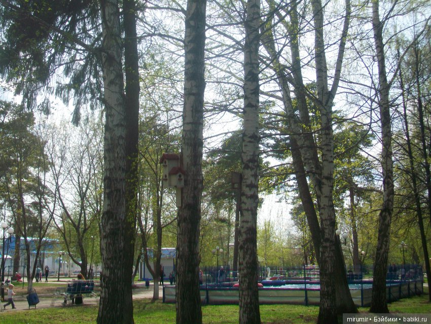 Как мы ездили в Чистополь Часть 3 (фото 4)