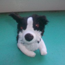 А у нас появился Трезор