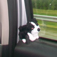 Как Трезор ездил на дачу