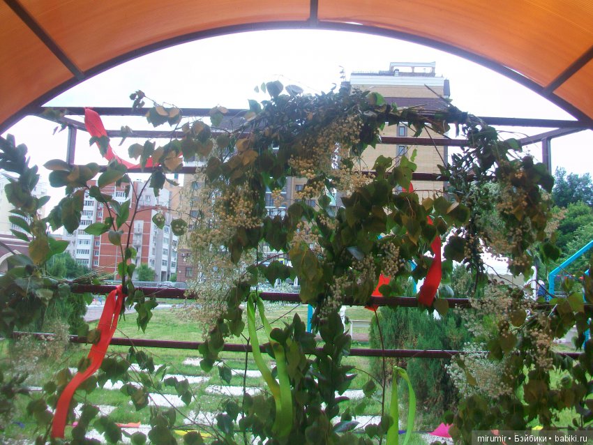 Духов день в Казани — Туризм и путешествия: фотоотчеты из поездок