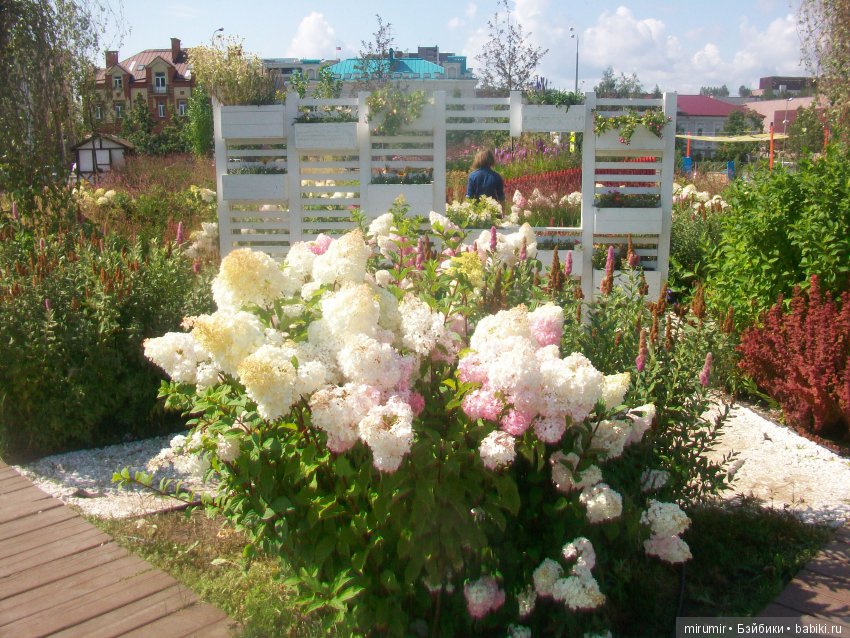 Цветочный фестиваль в Казани - 2019