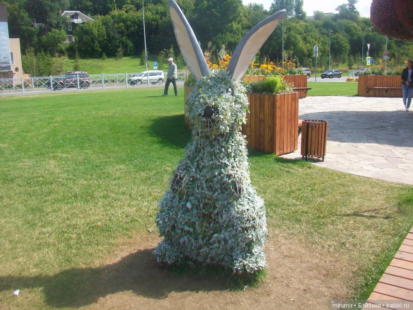 Цветочный фестиваль в Казани - 2019