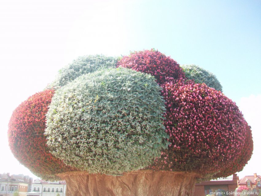 Цветочный фестиваль в Казани - 2019