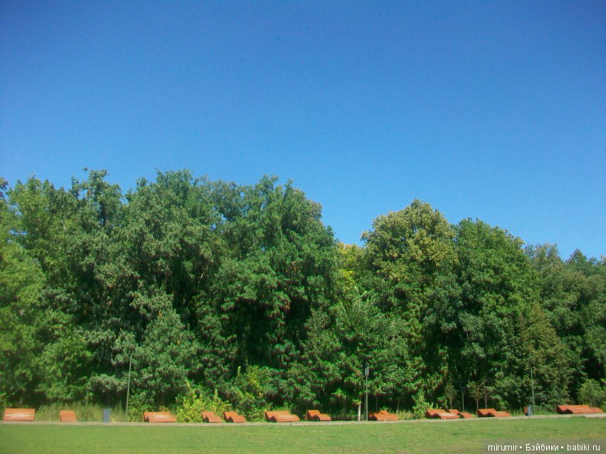 WorldSkills в Казани - 2019 (фото 7)