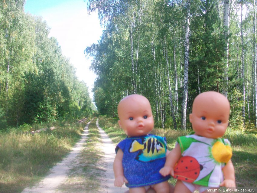 Как мы ездили в марийские леса на озеро Яльчик