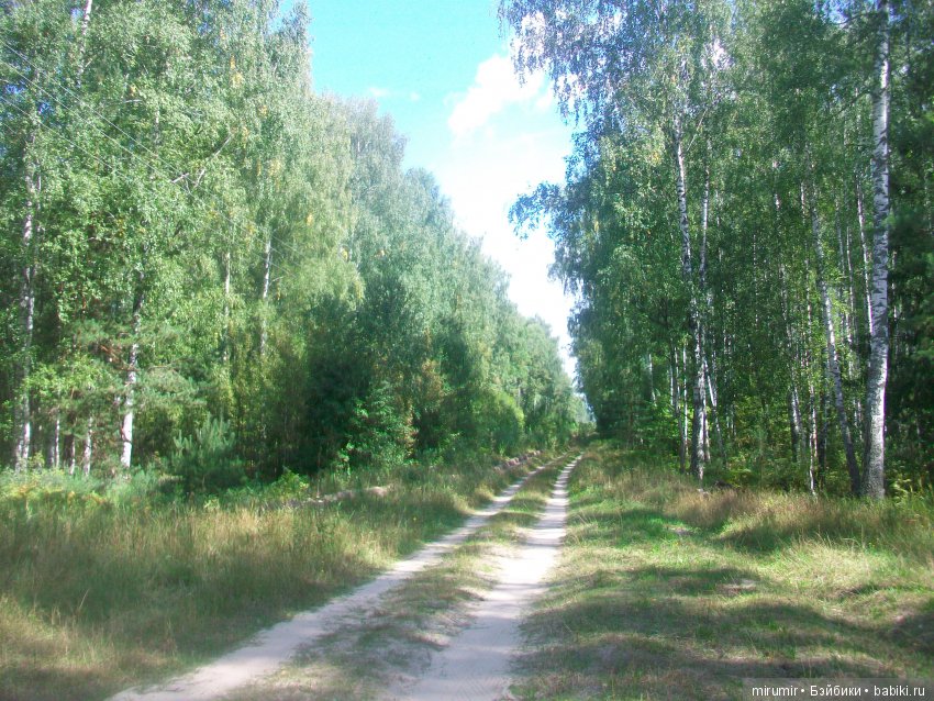 Как мы ездили в марийские леса на озеро Яльчик