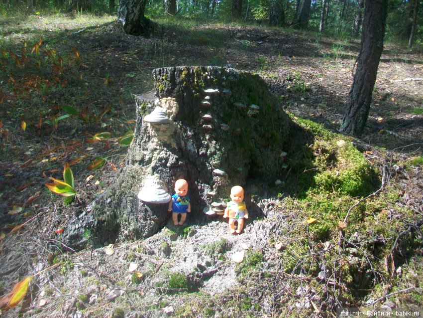 Как мы ездили в марийские леса на озеро Яльчик