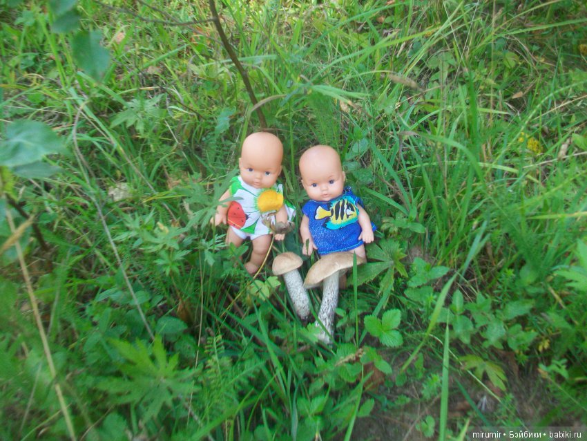 Как мы ездили в марийские леса на озеро Яльчик